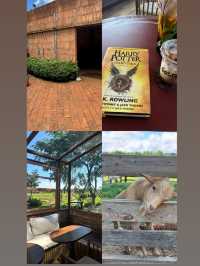 Growth : Farm and Bistro คาเฟ่เชียงแสนเชียงราย