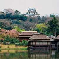 The Gentleman's Fortress: My Solo Visit to Hikone Castle, Shiga