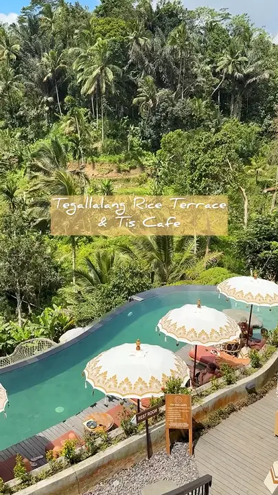 🌾 A Scenic Escape at Tegallalang Rice Terrace, Ubud