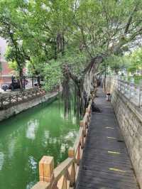 “Echoes of the Past — The Iconic Shangxiahang Canal of Fuzhou”
