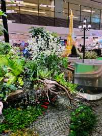 Changi Airport: World-Class Haven of Greenery and Comfort