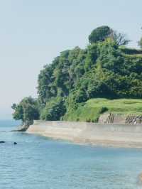 The Fortress of Faith: My Solo Pilgrimage to Hara Castle, Nagasaki