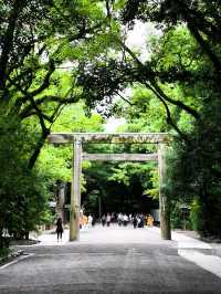 Peaceful Shrine Walk🌞