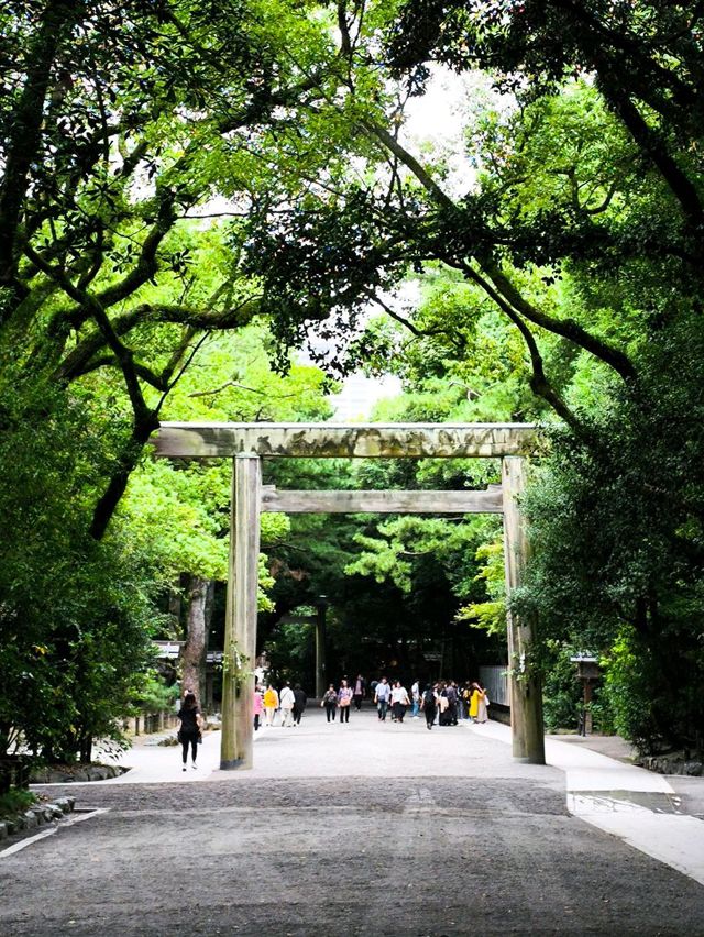Peaceful Shrine Walk🌞