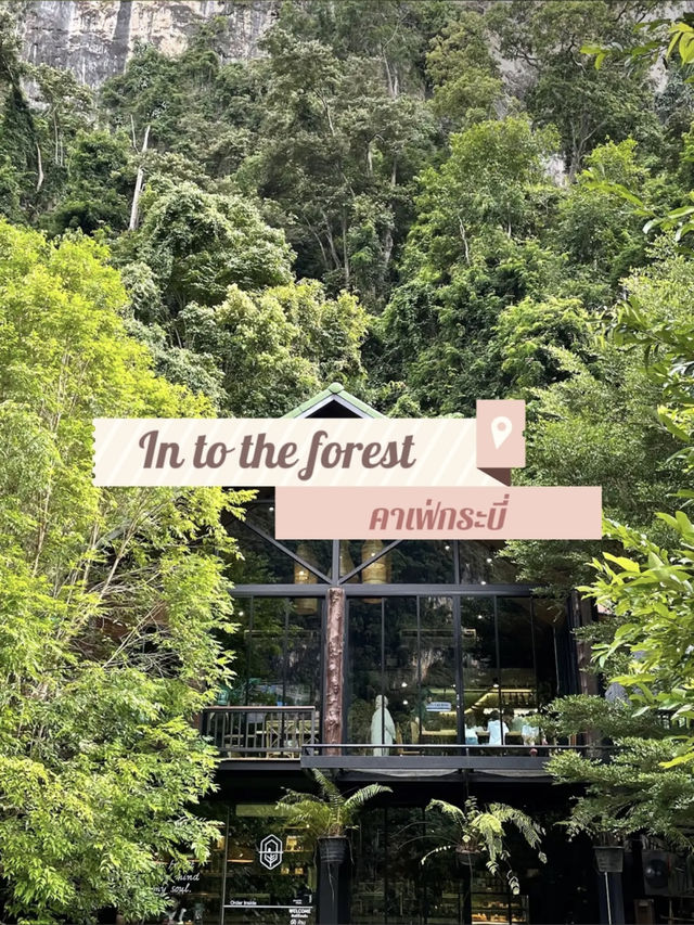 คาเฟ่กลางหุบเขากระบี่ 🌳🌳