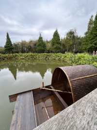 Kunming Wetlands🌧️  