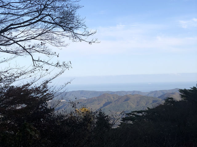 🕊️ 경주, 불국사와 석굴암에서 만난 신비로운 역사