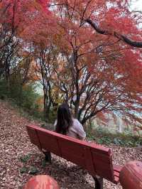  🍁 자산공원 가을 여행 🍁