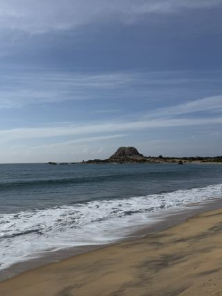 雅拉國家公園體驗