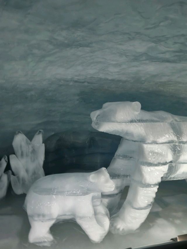 스위스 융프라우 전망대 : Ice palace 🇨🇭