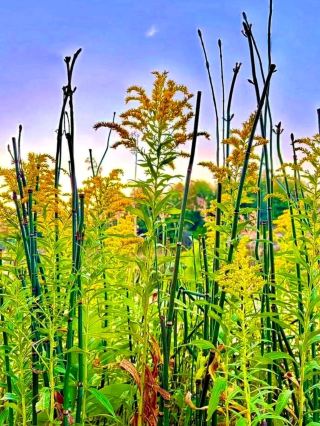🏖️ Marquette Park Beach – Gary, Indiana’s Lakeside Retreat 🏖️
