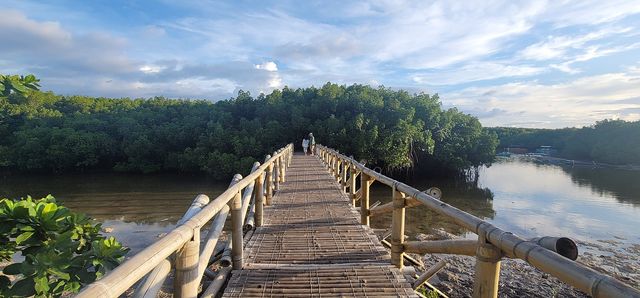 필리핀 보홀 여행 필리핀 보홀 여행