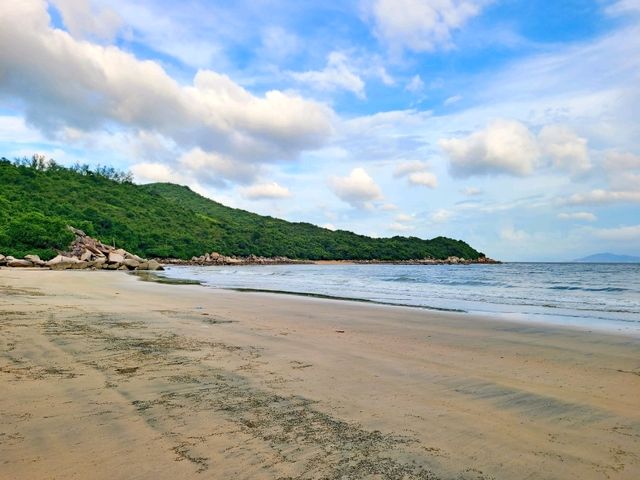 【鳳凰徑第9段~籮箕灣 ⭐】