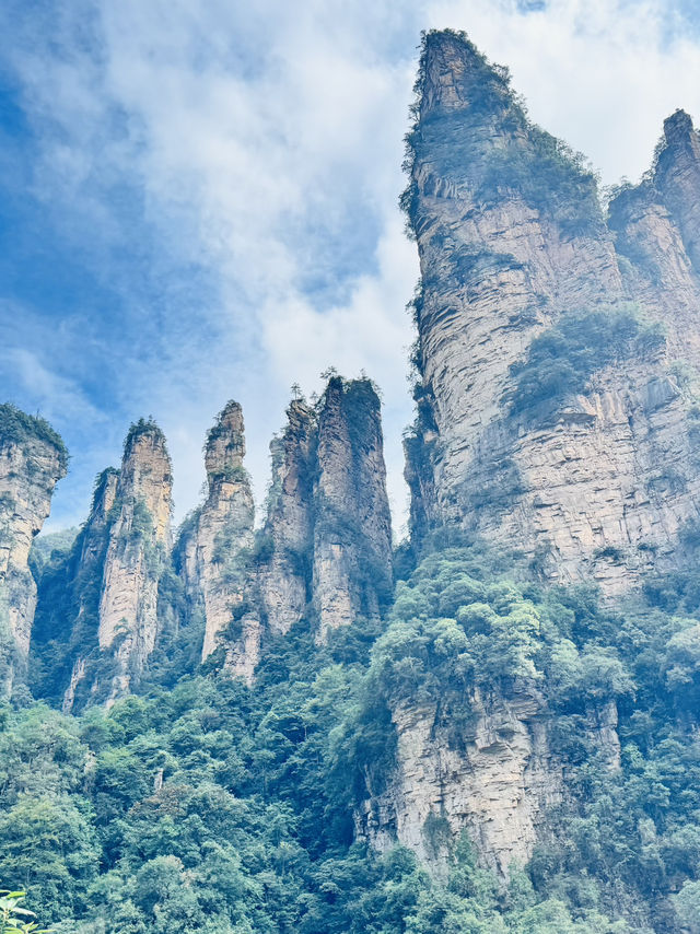 🌄 Zhangjiajie National Forest Park Travel Guide | Avatar Mountains in Real Life 🌄 Zhangjiajie National Forest Park Travel Guide | Avatar Mountains in Real Life
