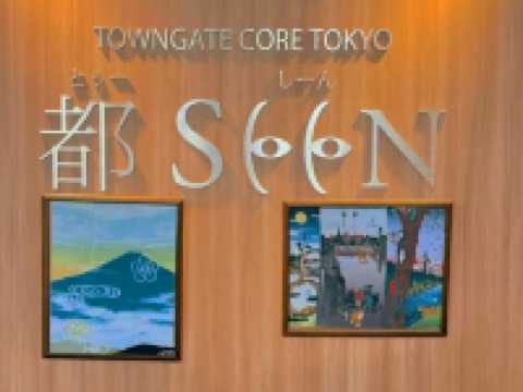 🏙️ Tokyo Metropolitan Government Building South Observatory — A Sky-High View for Free