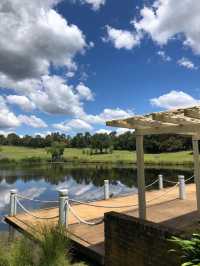 🌿悉尼北區秘境一日遊|離城市最近的「世界公園」