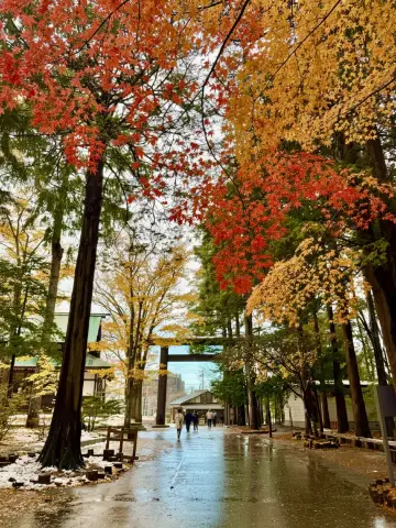 一個寧靜的秋日於北海道神宮