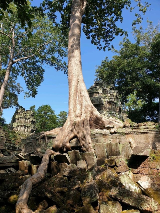 Angkor Wat: The Ultimate Bucket List Icon in Siem Reap 🌳✨