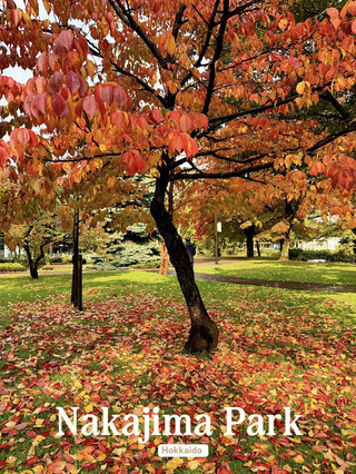 🍁 中島公園，札幌市中心的一片綠洲🇯🇵