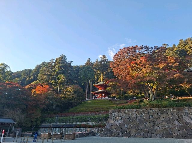 ✨️勝尾寺達摩寺⛩️大阪必去打卡好去處介紹📸💕 ✨️勝尾寺達摩寺⛩️大阪必去打卡好去處介紹📸💕