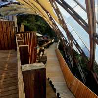 Waitomo Glowworm Caves