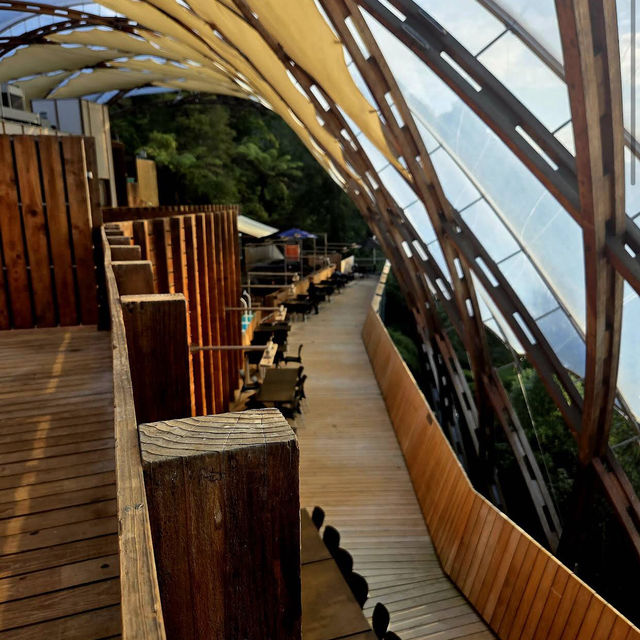 Waitomo Glowworm Caves