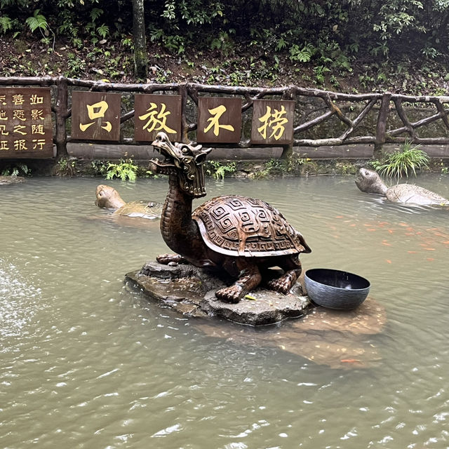 Zhangjiajie National Forest Park — East Gate One-Day Route That Actually Works Zhangjiajie National Forest Park — East Gate One-Day Route That Actually Works