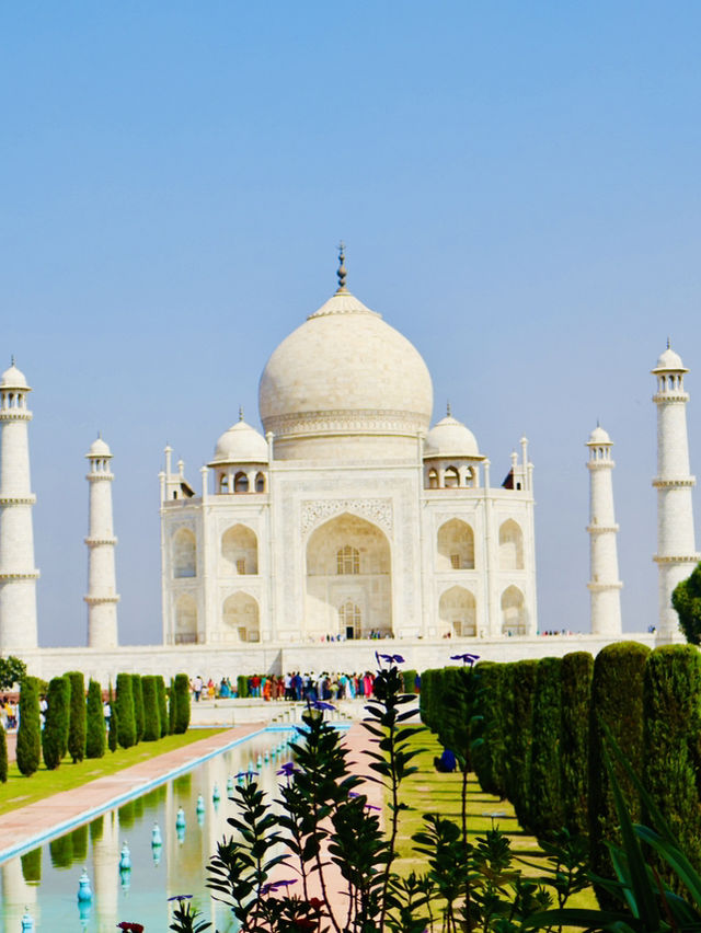 India’s Majestic Taj Mahal ✨🇮🇳 India’s Majestic Taj Mahal ✨🇮🇳