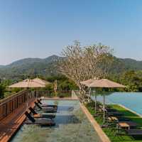 𝗖𝗵𝗶𝗮𝗻𝗴 Mai ไม่ลำพัง