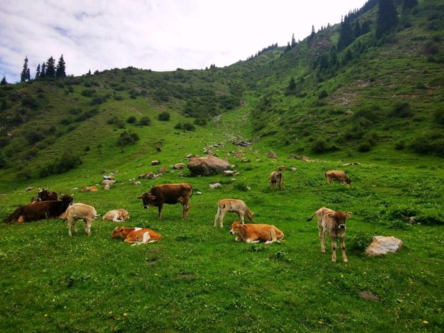 Unforgettable Altyn Arashan – Kyrgyzstan’s alpine paradise Unforgettable Altyn Arashan – Kyrgyzstan’s alpine paradise