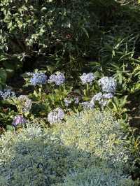 จุดถ่ายรูปหอไข่มุกสุดชิค