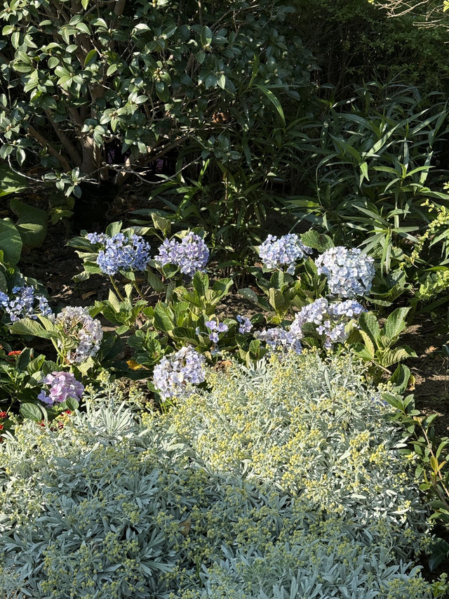 จุดถ่ายรูปหอไข่มุกสุดชิค จุดถ่ายรูปหอไข่มุกสุดชิค