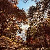 Cheongnamdae (청남대) – A Blend of Nature, History, and Dignity