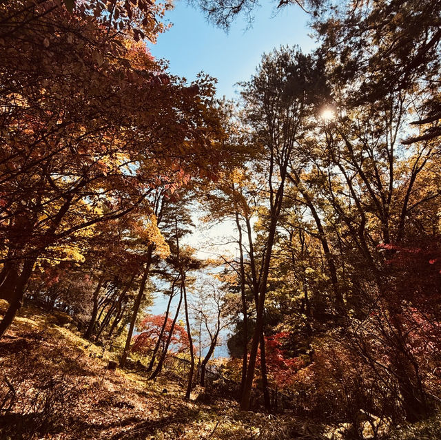 Cheongnamdae (청남대) – A Blend of Nature, History, and Dignity Cheongnamdae (청남대) – A Blend of Nature, History, and Dignity