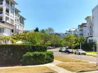 🤍Dreamy Gem Of Sydney🤍