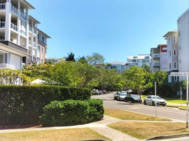 🤍Dreamy Gem Of Sydney🤍