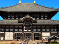 奈良東大寺秋日紅葉美景🍁