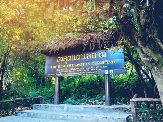 ดอยอินทนนท์—ฟินทะเลหมอกบนจุดสูงสุดของสยาม 🌤 ดอยอินทนนท์—ฟินทะเลหมอกบนจุดสูงสุดของสยาม 🌤