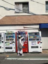 일본 도쿄 근교 가마쿠라 가볼만한 곳