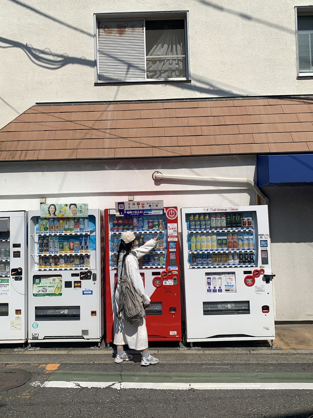일본 도쿄 근교 가마쿠라 가볼만한 곳