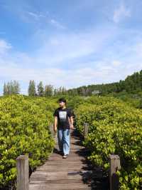 ทุ่งโปรงทอง 🌳