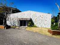 Capture Holiday Memories at Eluanbi Lighthouse Before Gift Shopping