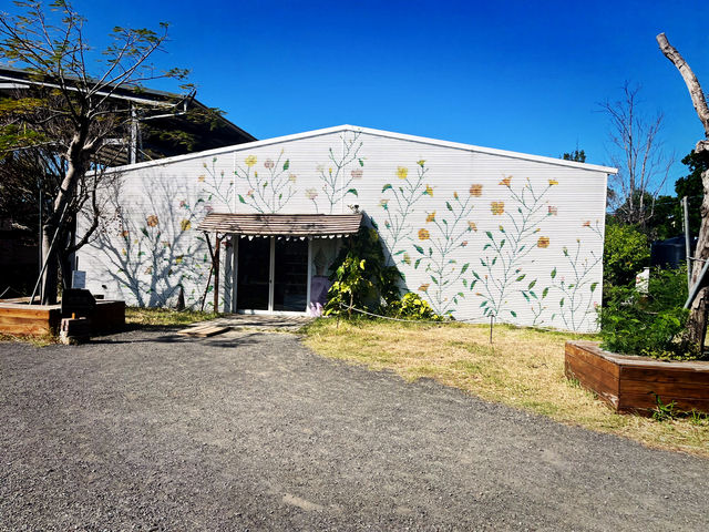 Capture Holiday Memories at Eluanbi Lighthouse Before Gift Shopping Capture Holiday Memories at Eluanbi Lighthouse Before Gift Shopping