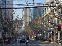 Your Ultimate Weekend Guide to Shanghai’s Hotspots 💎✨