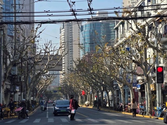 Your Ultimate Weekend Guide to Shanghai’s Hotspots 💎✨