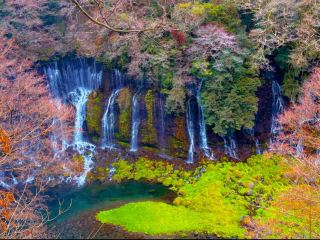 ฉันขอแนะนำให้ไปเที่ยวภูเขาฟูจิ 🇯🇵