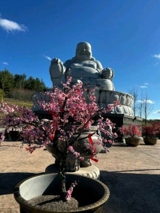 五台山佛教花園