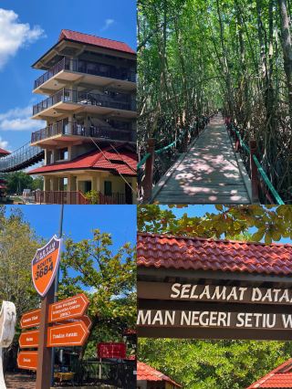 セティウ湿地を巡る忘れられないエコジャーニー