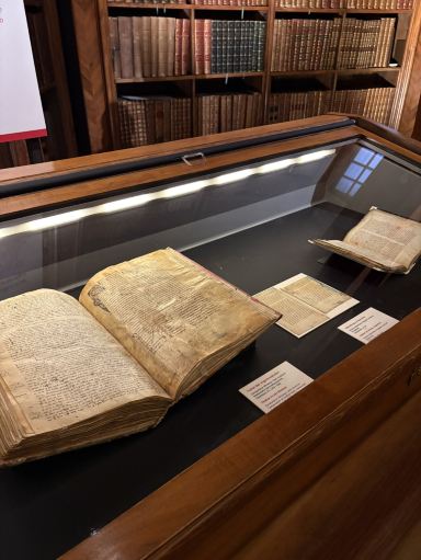 🇦🇹 宮殿のような世界一美しい図書館｜オーストリア国立図書館