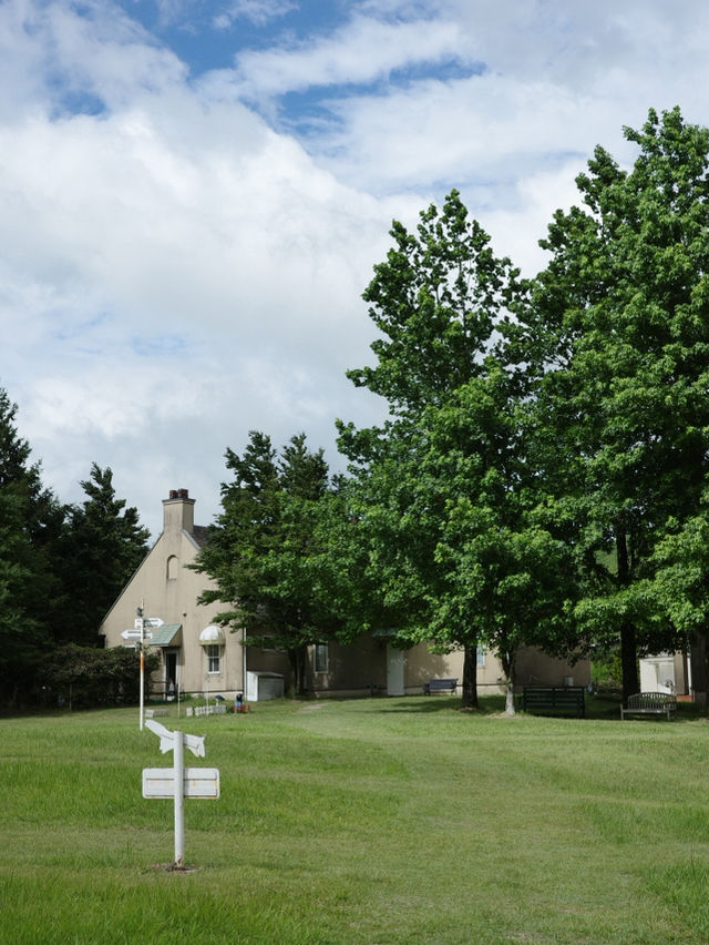 大自然満喫!春から秋にオススメの阿蘇の絶景スポット